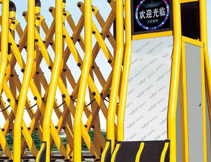 豪華土豪金電動(dòng)伸縮門
